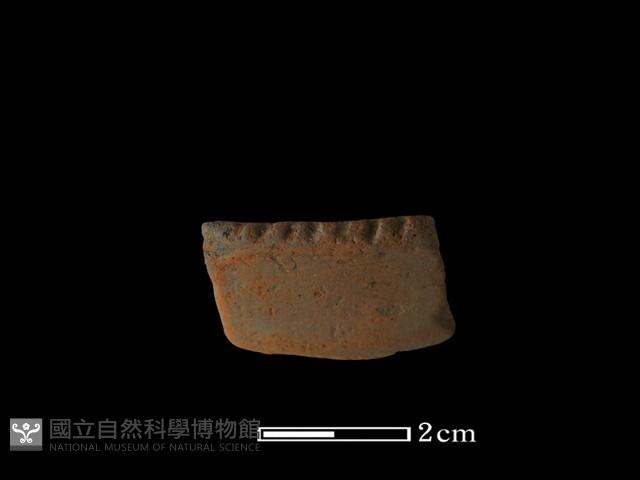 陶片藏品圖，第2張