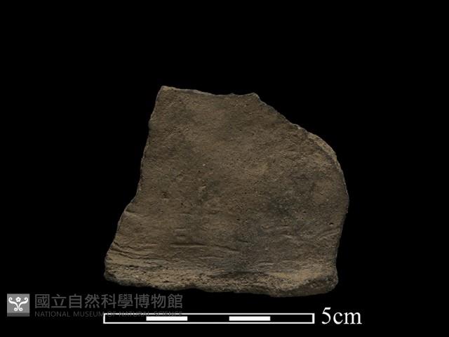 陶片藏品圖，第3張