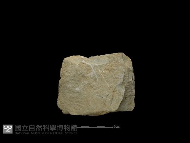 斧鋤形器藏品圖，第2張