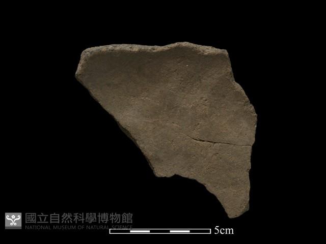 陶片藏品圖，第2張