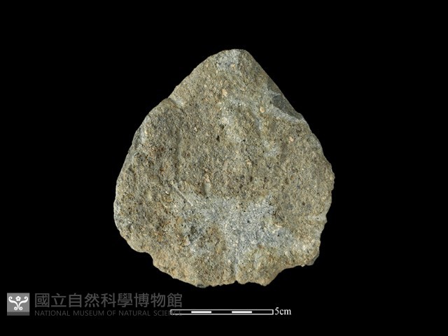 石片器藏品圖，第1張