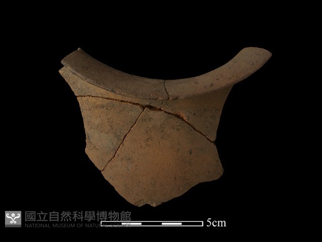 陶片藏品圖，第1張