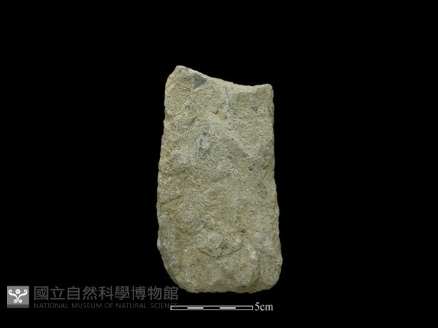 斧鋤形器藏品圖，第1張