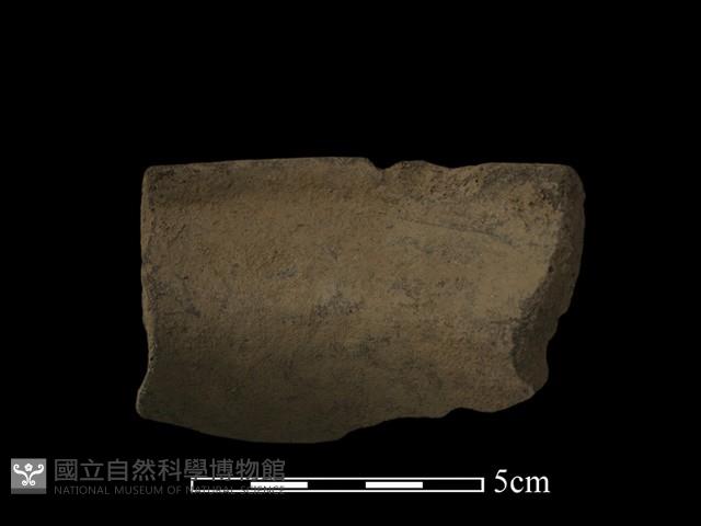 陶片藏品圖，第3張