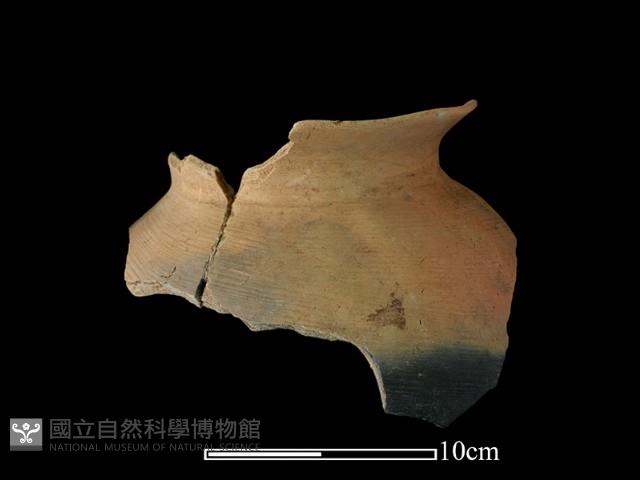 陶罐藏品圖，第2張