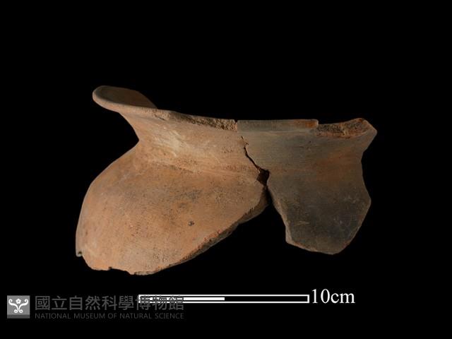 Accession Number:NSK-2012-246 Collection Image, Figure 2, Total 2 Figures