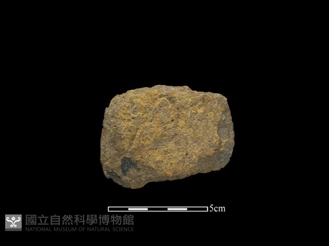 斧鋤形器藏品圖，第1張