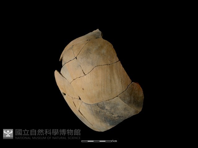陶罐藏品圖，第3張