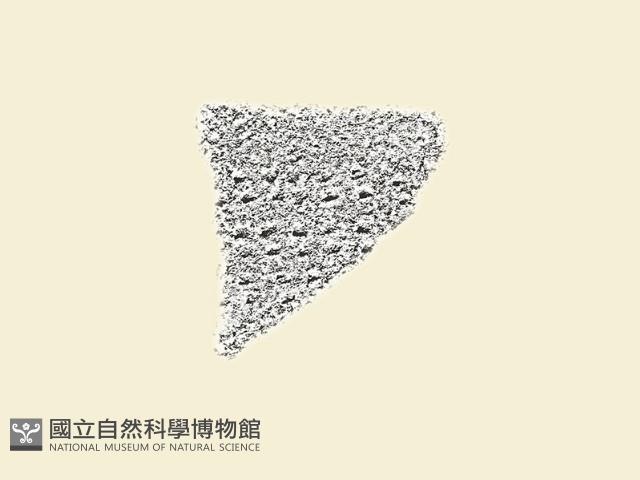 陶片藏品圖，第2張