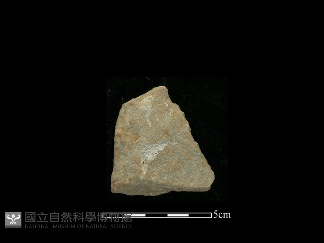 打製石器藏品圖，第1張