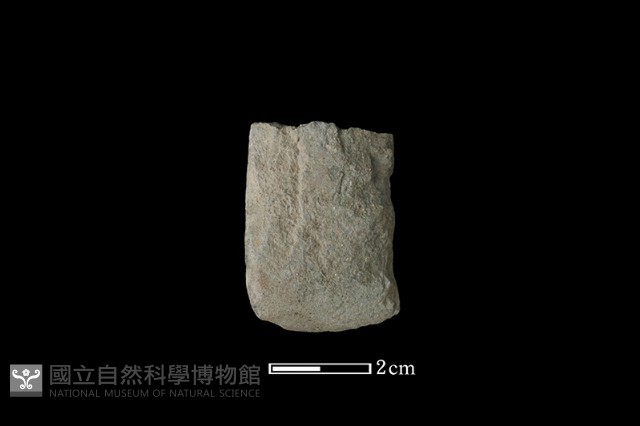 錛鑿形器藏品圖，第2張