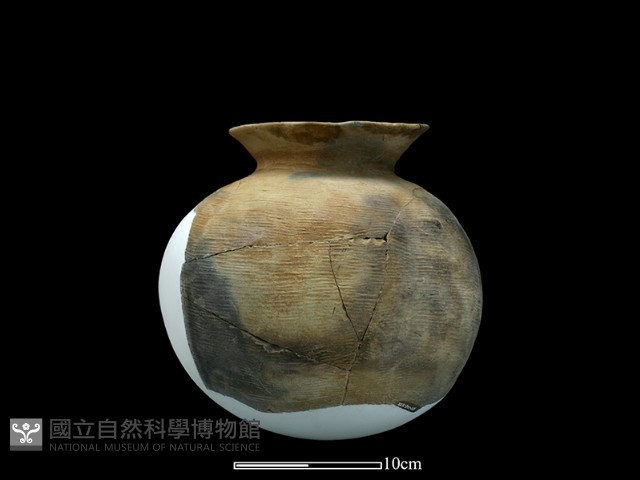 陶罐藏品圖，第3張