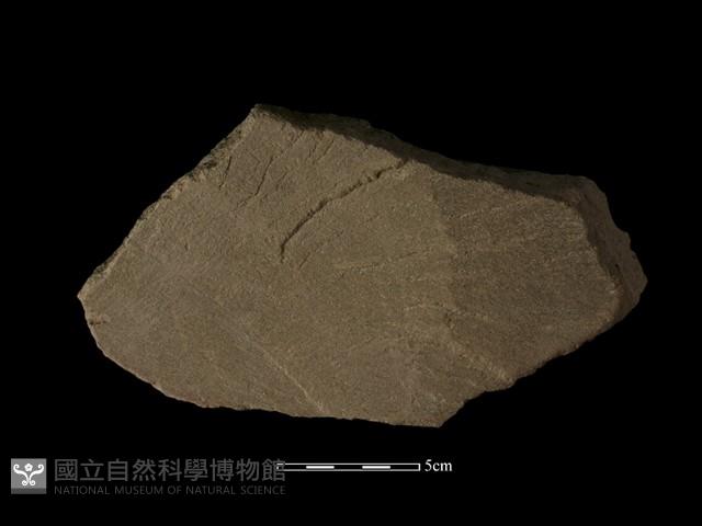 砥石藏品圖，第2張