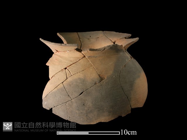 陶罐藏品圖，第3張