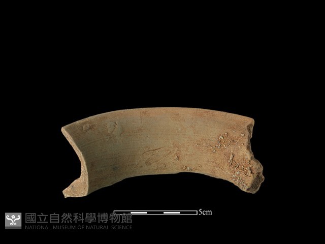 陶罐藏品圖，第2張
