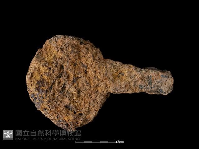 鐵鏟藏品圖，第2張