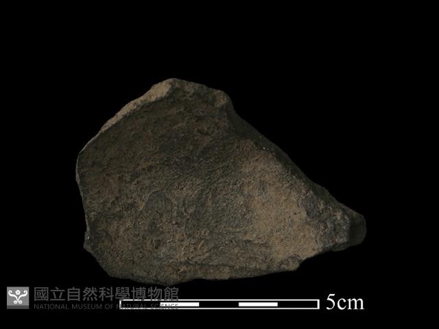 陶片藏品圖，第2張