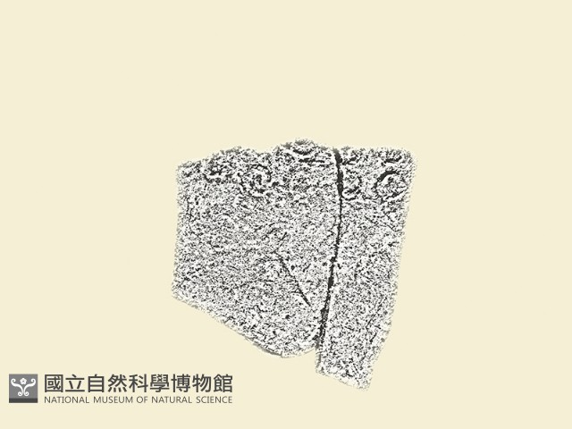 陶片藏品圖，第2張