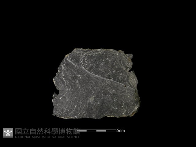 帶加工痕石材藏品圖，第2張