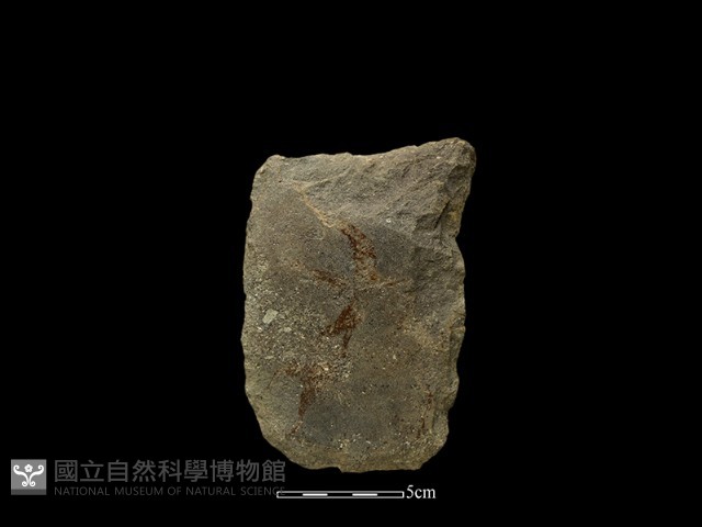 斧鋤形器藏品圖，第2張