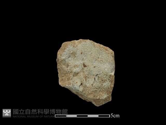 斧鋤形器藏品圖，第2張