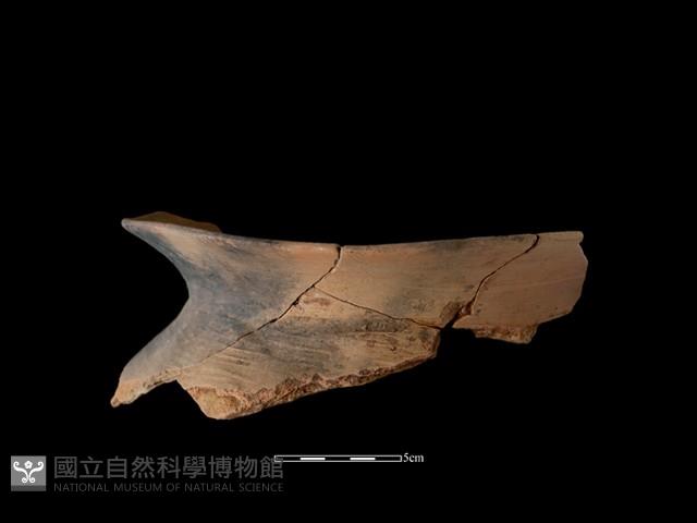 陶罐藏品圖，第3張