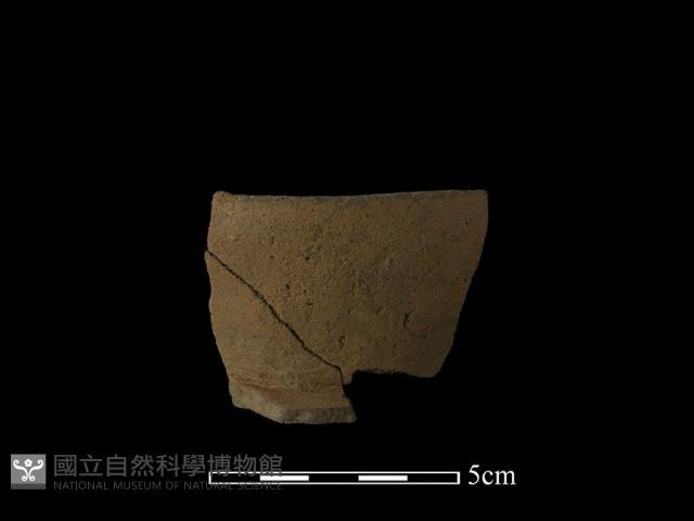 陶片藏品圖，第2張