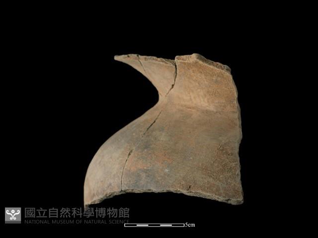 陶罐藏品圖，第3張