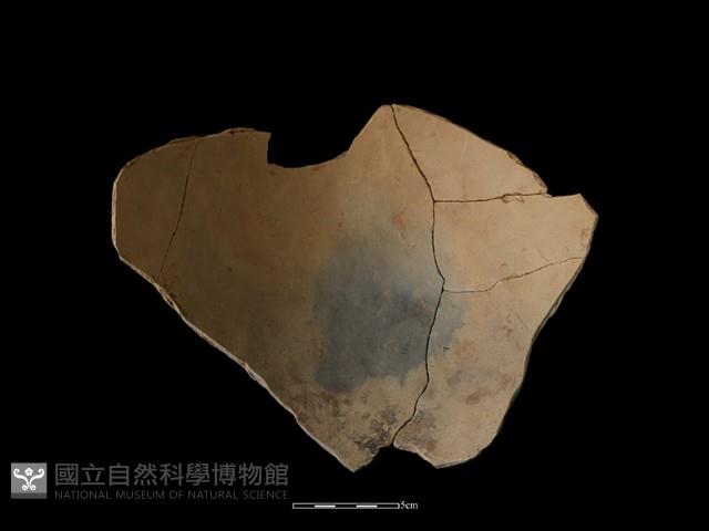 陶罐藏品圖，第2張