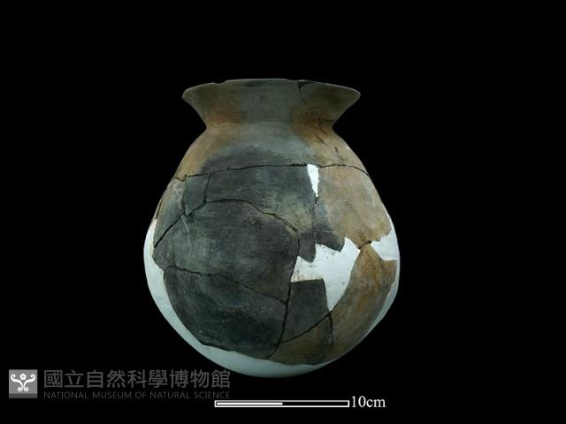 陶罐藏品圖，第3張