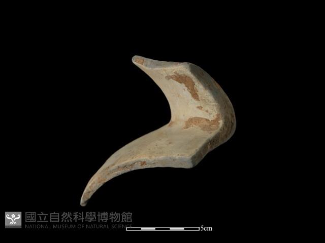 陶罐藏品圖，第2張