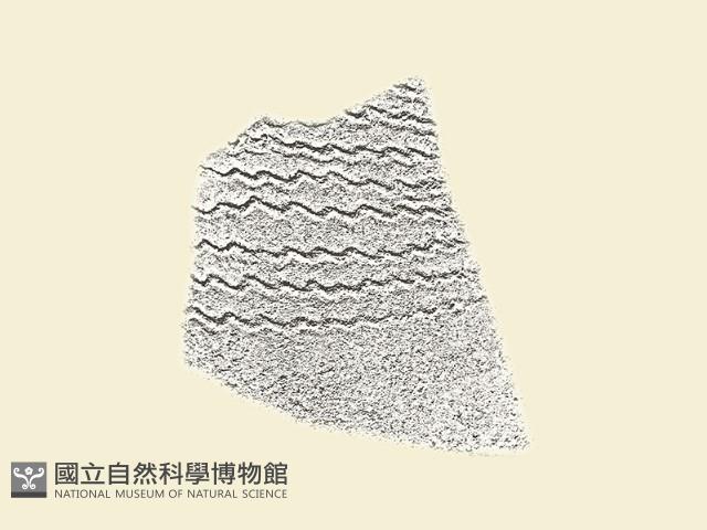 陶片藏品圖，第2張