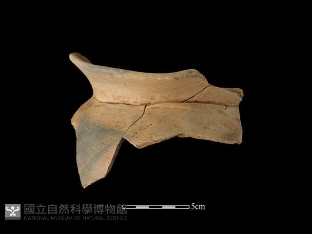 陶罐藏品圖，第2張