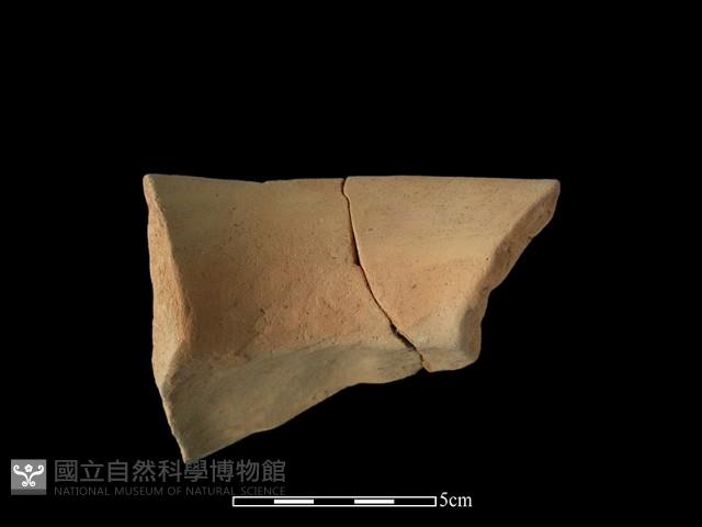 Accession Number:NSK-2015-077 Collection Image, Figure 2, Total 2 Figures