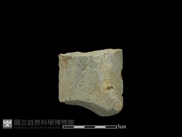 磨製斧鋤形器藏品圖，第2張