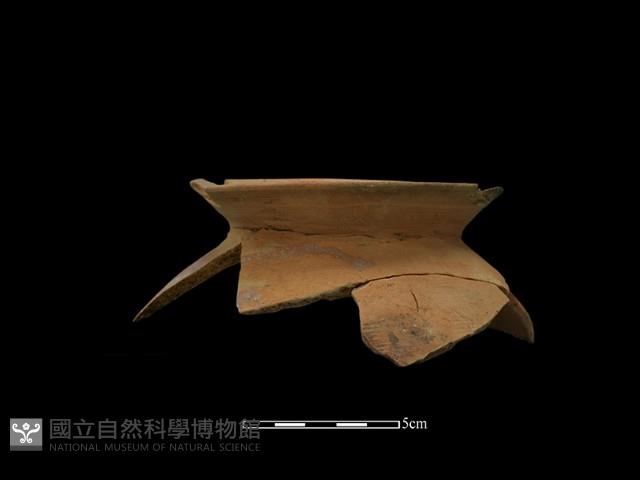 Accession Number:NSK-2012-157 Collection Image, Figure 2, Total 2 Figures