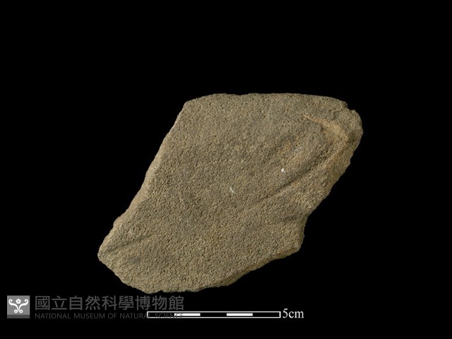 砥石藏品圖，第1張
