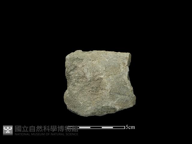 斧鋤形器藏品圖，第2張