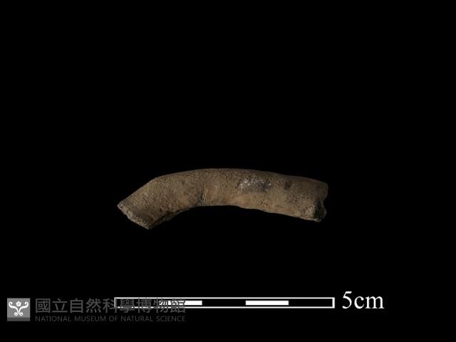 陶把藏品圖，第2張