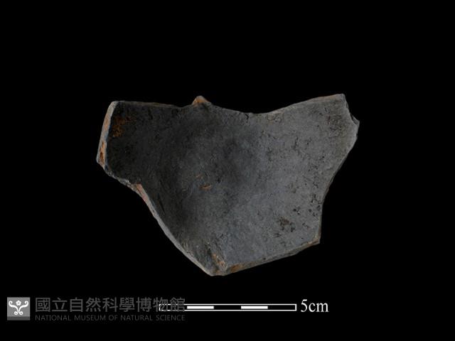 陶片藏品圖，第1張