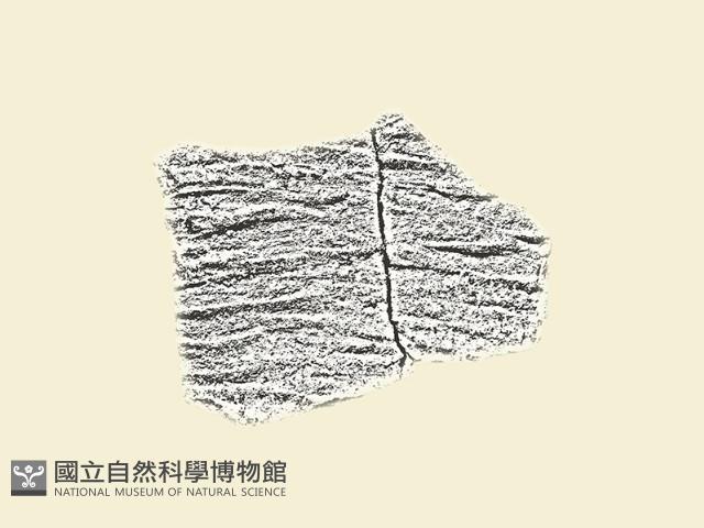 陶片藏品圖，第2張