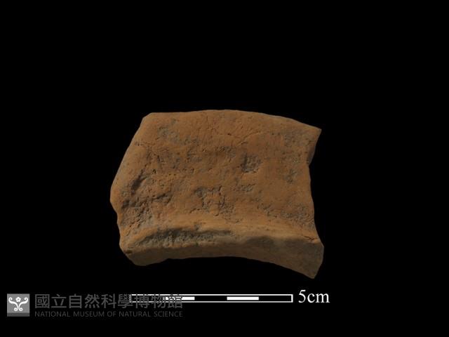 連杯形器藏品圖，第2張