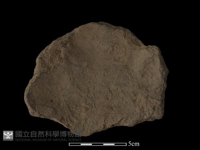 陶片藏品圖，第1張