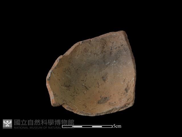 陶片藏品圖，第2張