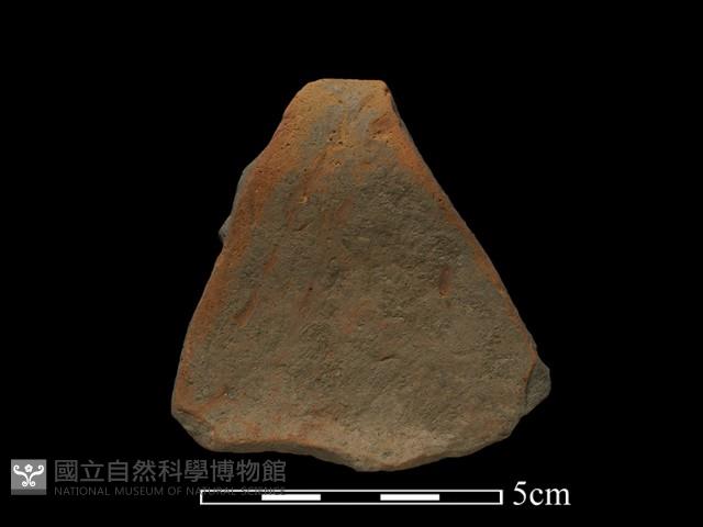 陶片藏品圖，第2張