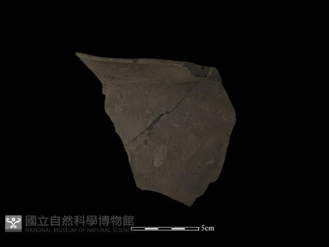 陶罐藏品圖，第2張