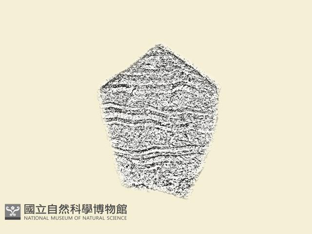 陶片藏品圖，第1張