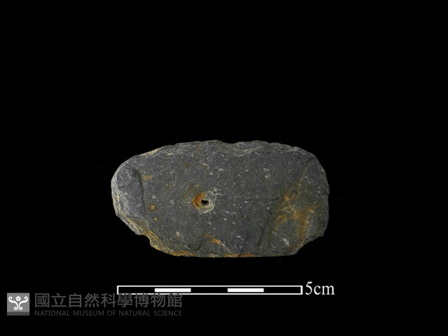 帶加工痕石材藏品圖，第2張