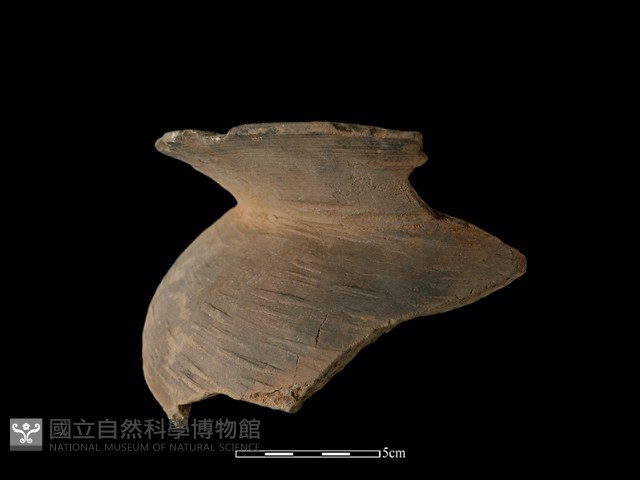 陶罐藏品圖，第2張