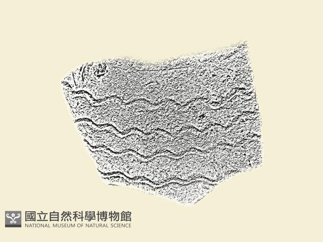 陶片藏品圖，第1張